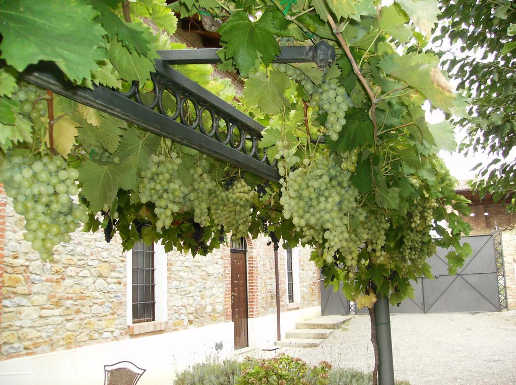 Agriturismo Casa Garello Salice Terme Luaran gambar