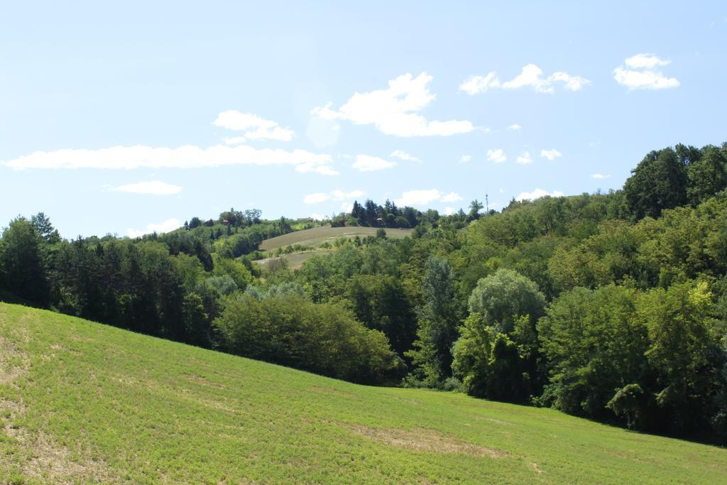 Agriturismo Casa Garello Salice Terme Luaran gambar